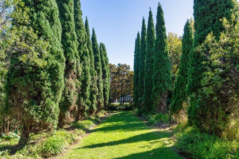 Photo of property in 46 Matai Road, Raumati South, Paraparaumu, 5032