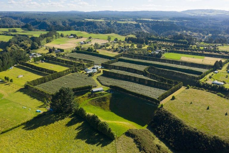 Photo of property in 585d Mclaren Falls Road, Omanawa, Tauranga, 3171