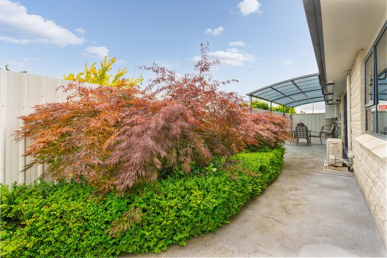 Photo of property in 20a Worksop Road, Masterton, 5810