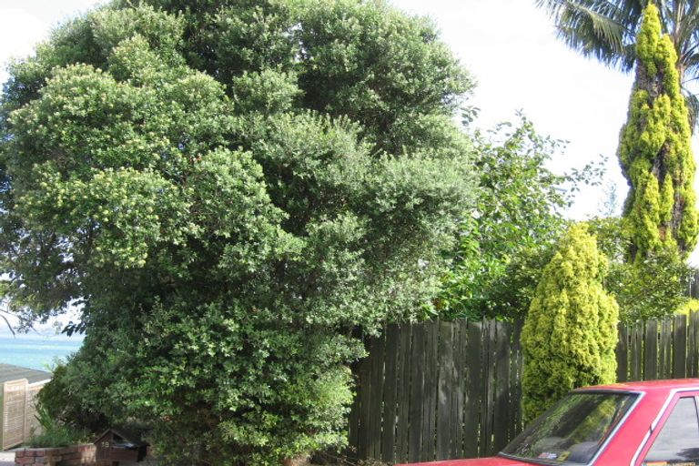 Photo of property in 18 Valkyria Place, Beach Haven, Auckland, 0626