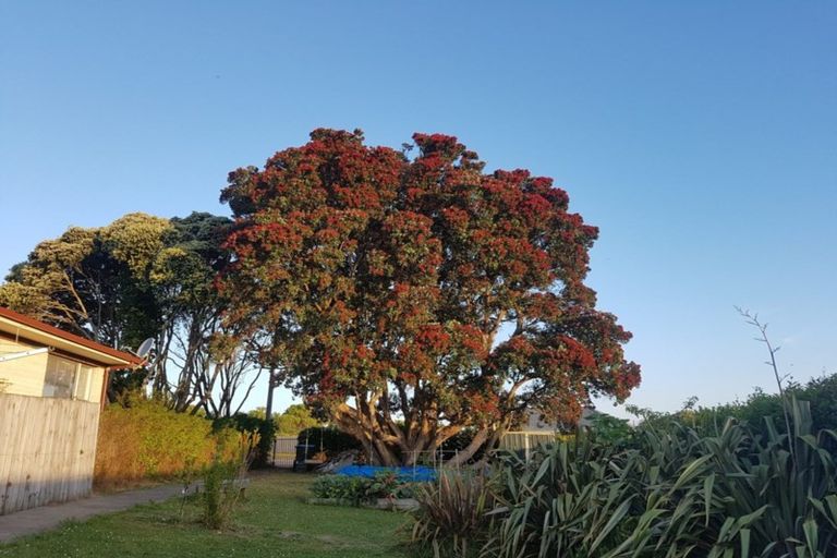 Photo of property in 279b Hillsborough Road, Hillsborough, Auckland, 1042