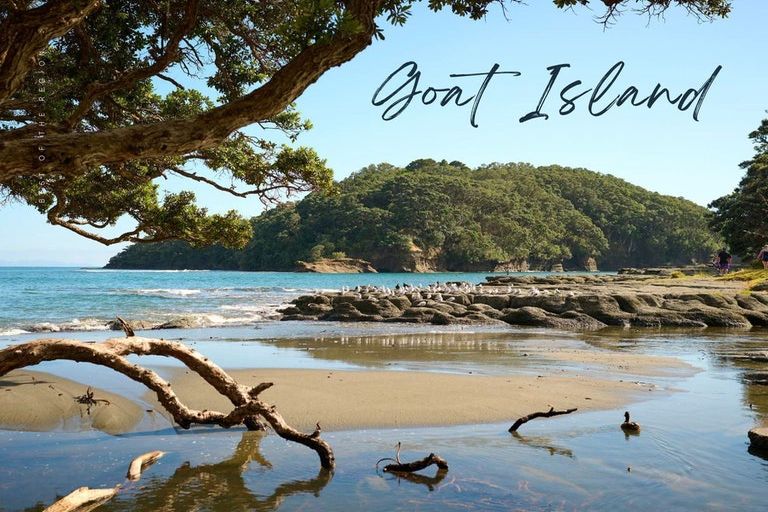 Photo of property in 83 Kaitiaki Avenue, Warkworth, 0985