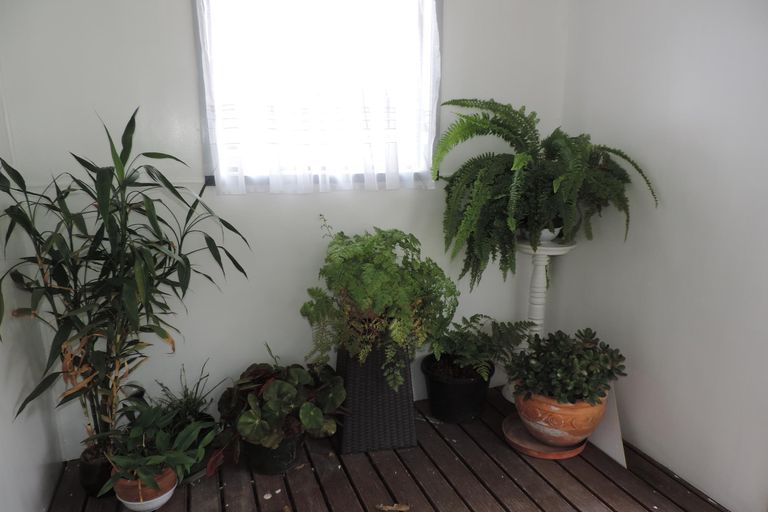 Photo of property in 17a Kilbride Road, Matamata, 3400