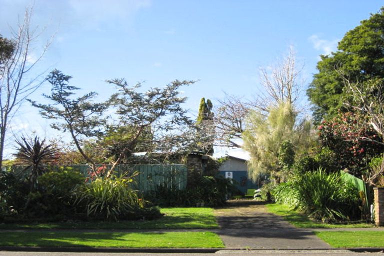 Photo of property in 15 Macarthur Street, Levin, 5510