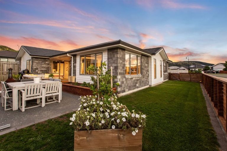 Photo of property in 89 John Burke Drive, Aotea, Porirua, 5024