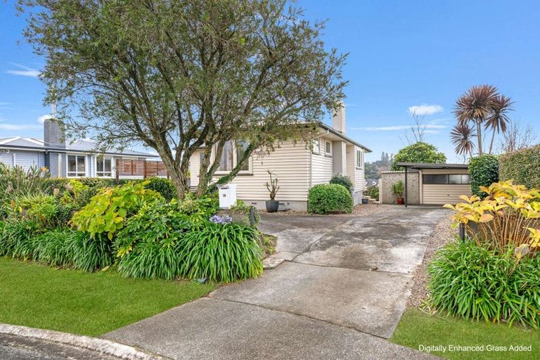Photo of property in 32 Woodford Avenue, Brookfield, Tauranga, 3110