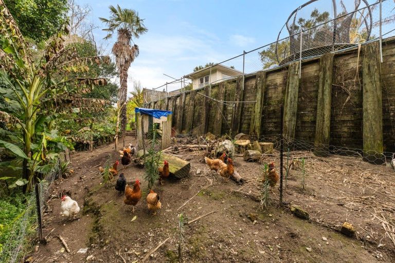 Photo of property in 227 Stout Street, Mangapapa, Gisborne, 4010