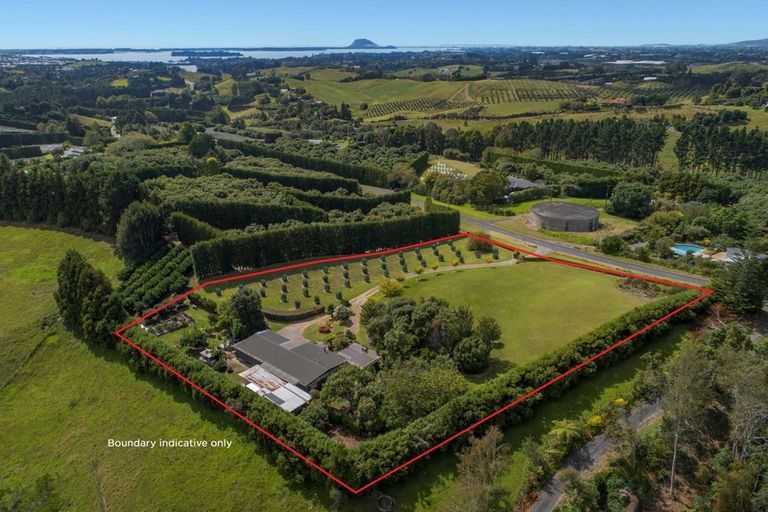 Photo of property in 84 Plummer Road, Whakamarama, Tauranga, 3179