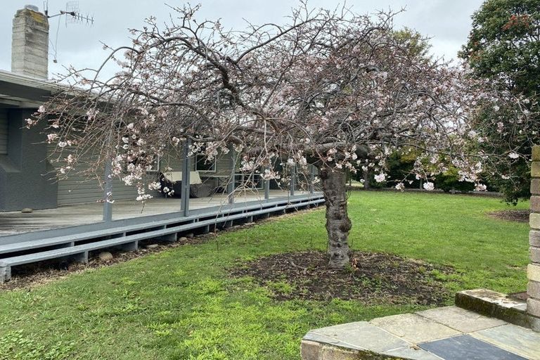 Photo of property in 21 Scarrott Road, Bay View, Napier, 4104