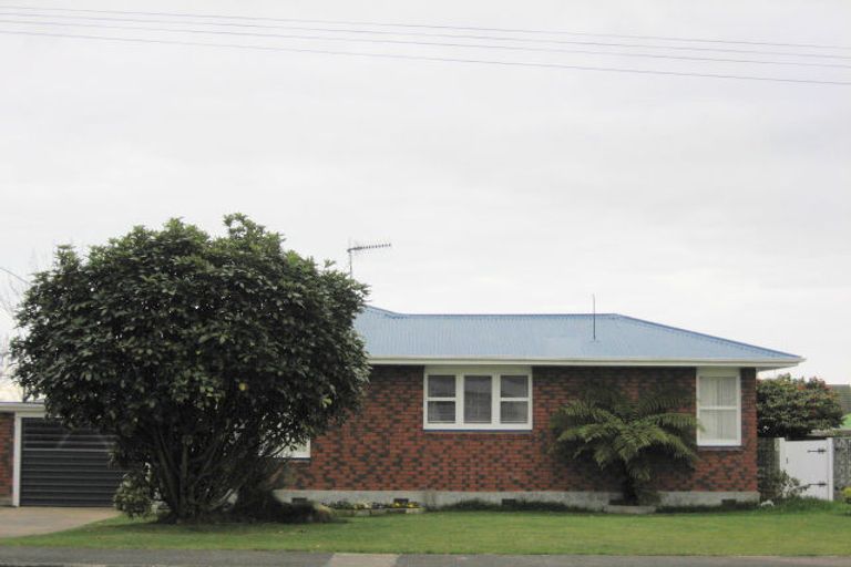 Photo of property in 41 Parker Avenue, Levin, 5510
