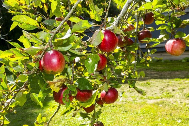 Photo of property in 43 Gillespies Road, Birchville, Upper Hutt, 5018