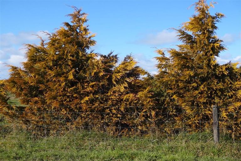 Photo of property in 711 Rise Road, Milford, Temuka, 7986