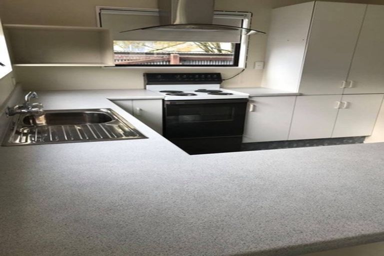 Photo of property in 10a Patching Street, Hampstead, Ashburton, 7700