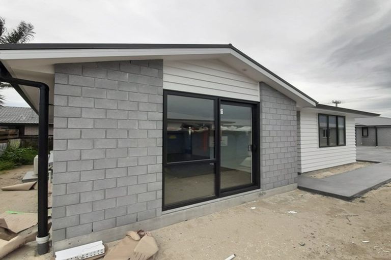 Photo of property in 203 Te Maunga Lane, Mount Maunganui, 3116