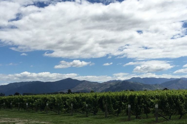 Photo of property in 4 Rose Manor Drive, Springlands, Blenheim, 7201