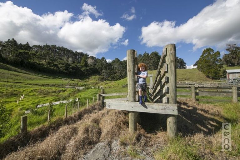 Photo of property in 208 Valley Road, Mangapapa, Gisborne, 4010