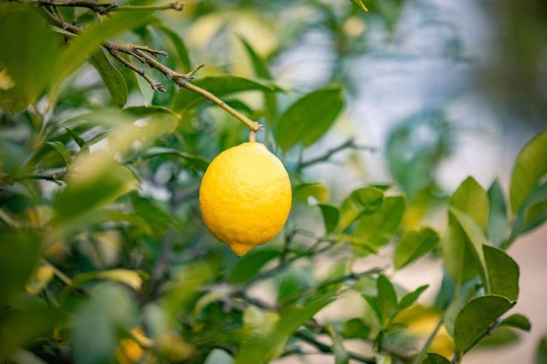 Photo of property in 2712 Tahuna-ohinewai Road, Hoe-o-tainui, Morrinsville, 3373