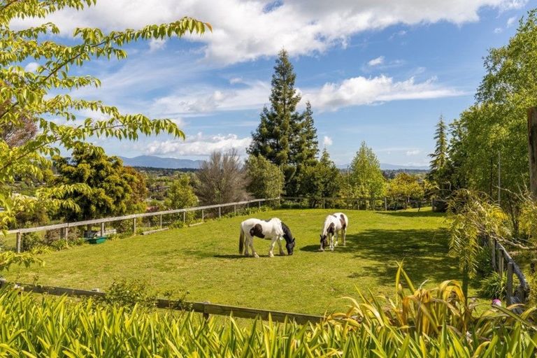 Photo of property in 12 Hoddy Road, Redwood Valley, Richmond, 7081