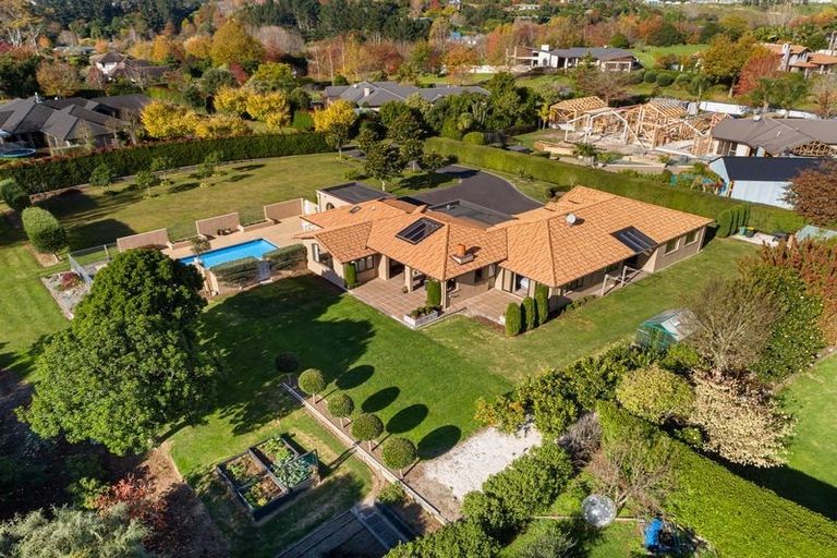 Photo of property in 88 Freeburn Road, Pyes Pa, Tauranga, 3112