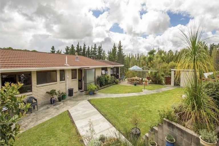 Photo of property in 12 Puawai Street, Kaiwaka, 0573