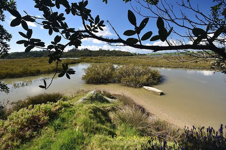 Photo of property in 245 Metcalfe Road, Matakohe, 0593