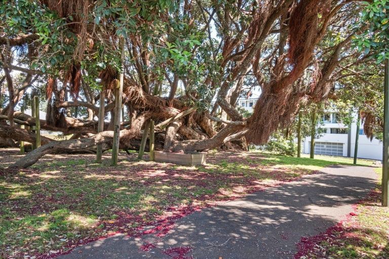 Photo of property in Paramount Apartments, 25/281 Maunganui Road, Mount Maunganui, 3116