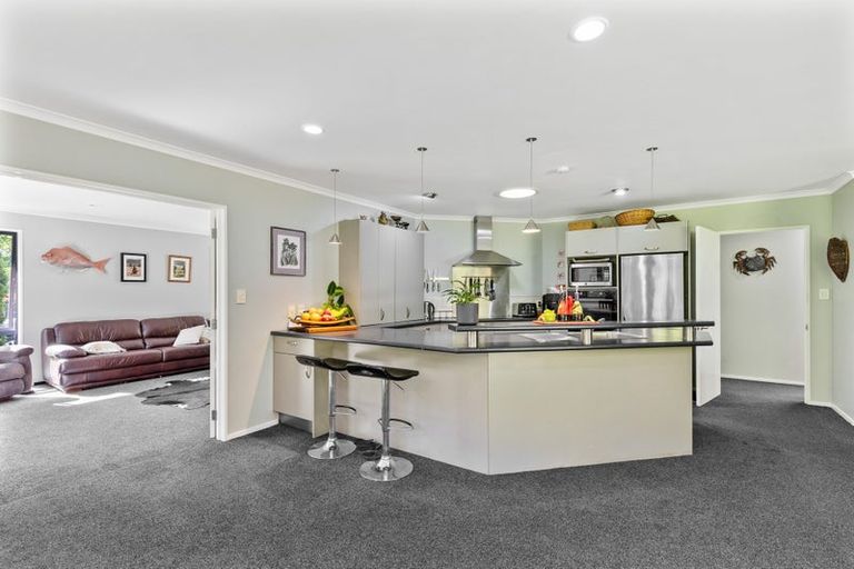 Photo of property in 208 Mount Riley Road, Okaramio, Havelock, 7178