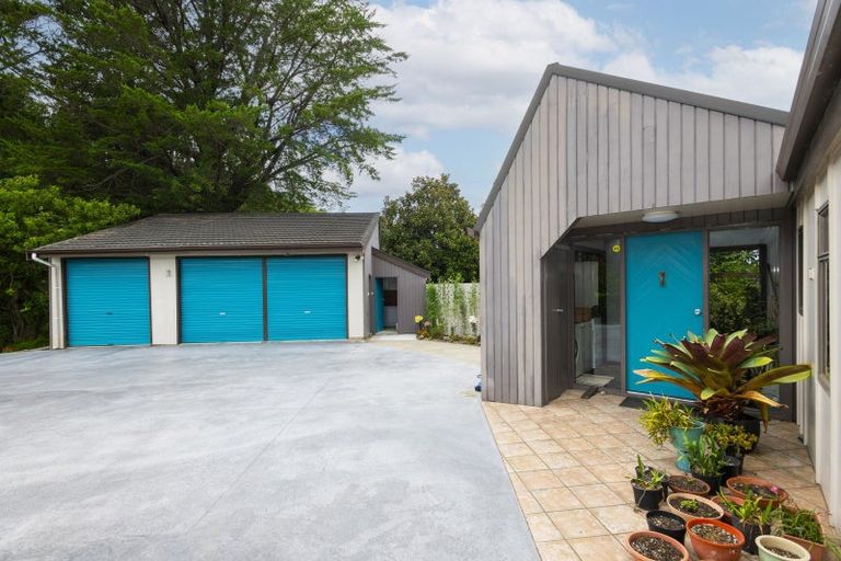 Photo of property in 194 Ballance Street, Whataupoko, Gisborne, 4010