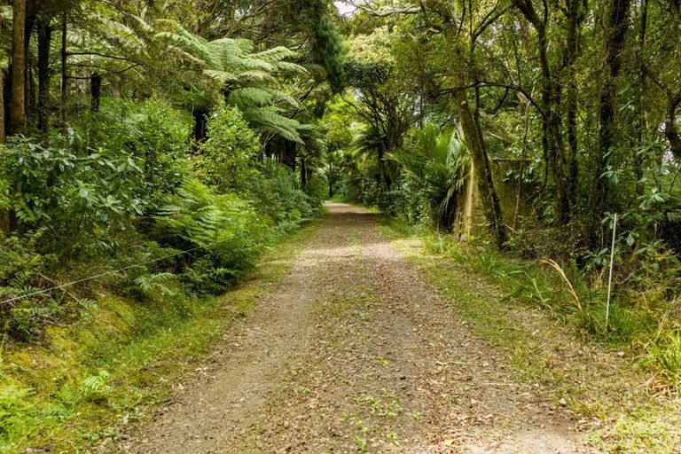 Photo of property in 4317 State Highway 12, Aranga, Dargaville, 0376