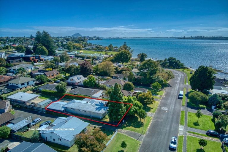 Photo of property in 19 Burrows Street, Tauranga South, Tauranga, 3112