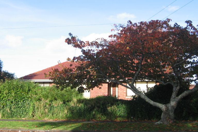 Photo of property in 49 Allenby Road, Papatoetoe, Auckland, 2025