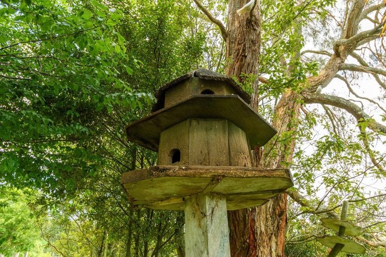 Photo of property in 17 Leyland Road, Whakamarama, Tauranga, 3179