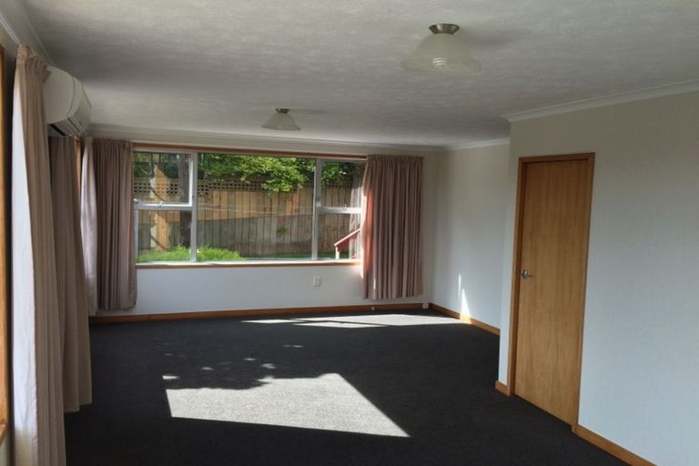 Photo of property in 6a Meuse Lane, Andersons Bay, Dunedin, 9013