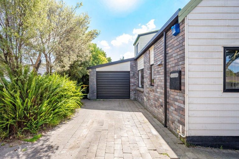 Photo of property in 5b Ross View Terrace, Dinsdale, Hamilton, 3204