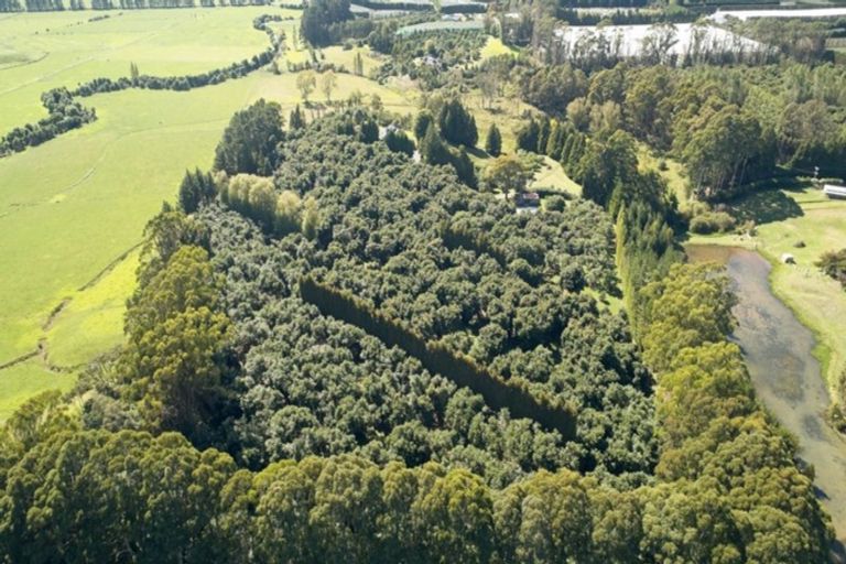 Photo of property in 159 Walker Road East, Aongatete, Katikati, 3178