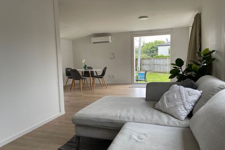 Photo of property in 46 Ivanhoe Road, Grey Lynn, Auckland, 1021