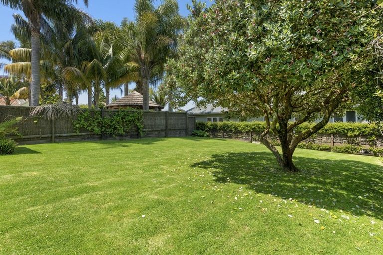 Photo of property in 46 Fraser Street, Tauranga South, Tauranga, 3112