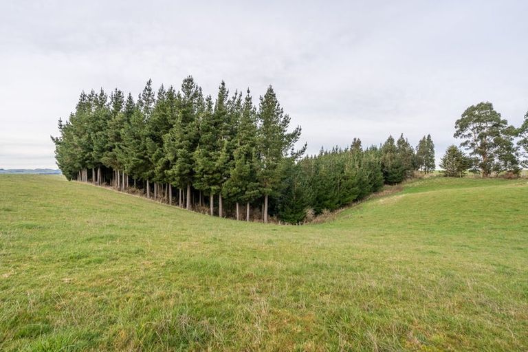 Photo of property in 22 Paterson Road, Mosgiel, 9092