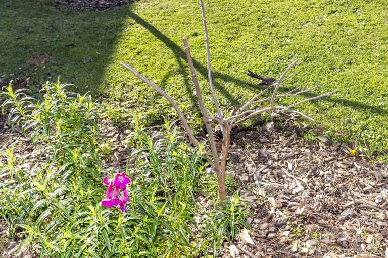 Photo of property in 43 Kaitawa Crescent, Paraparaumu, 5032