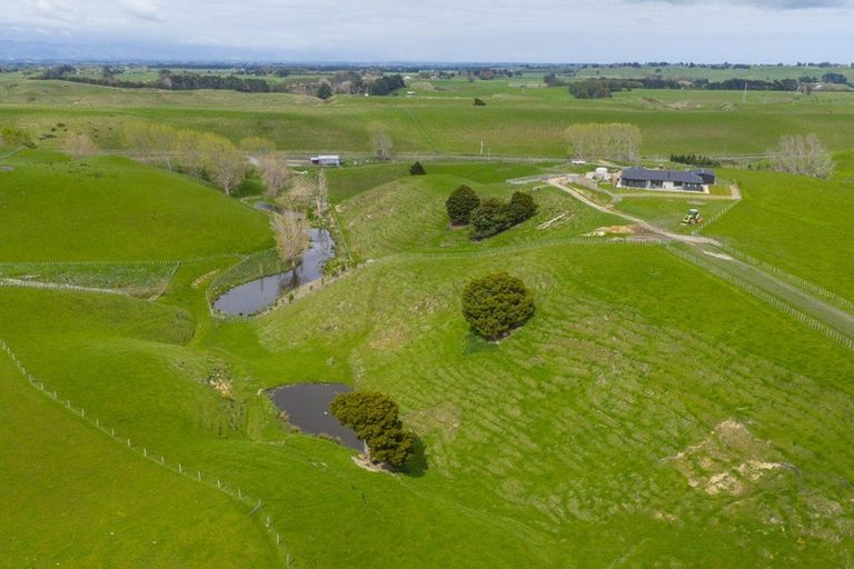 Photo of property in 234 Sandon Road, Feilding, 4779