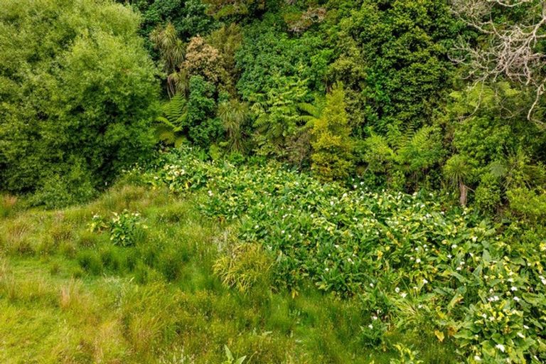 Photo of property in 10 Hobbs Road, Matakatia, Whangaparaoa, 0930