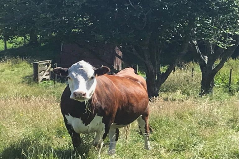 Photo of property in 3244 Poihipi Road, Whakamaru, Mangakino, 3492