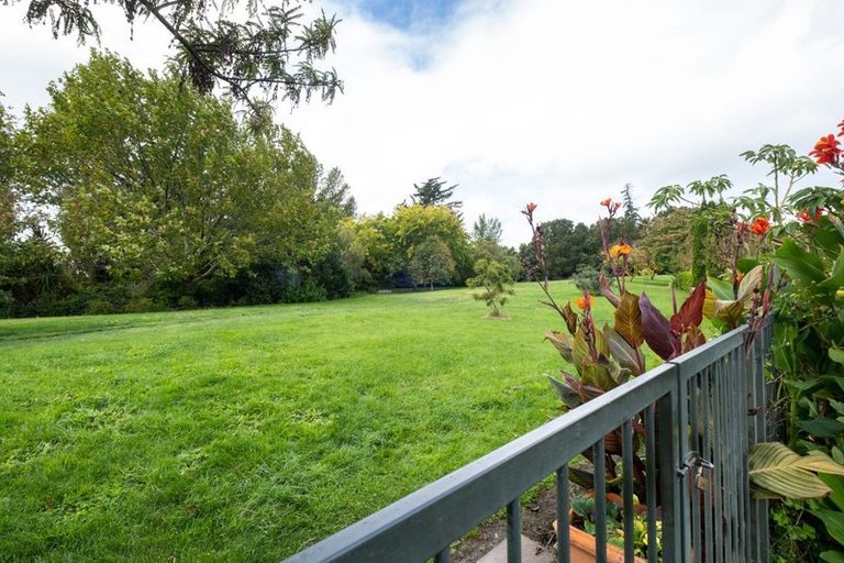 Photo of property in 36 Palmbrook Avenue, Havelock North, 4130