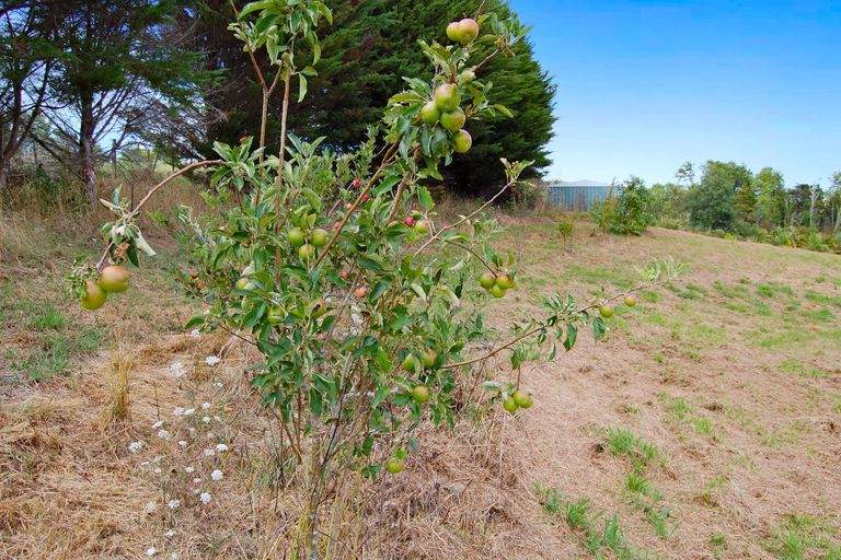 Photo of property in 306 Oneriri Road, Kaiwaka, 0573