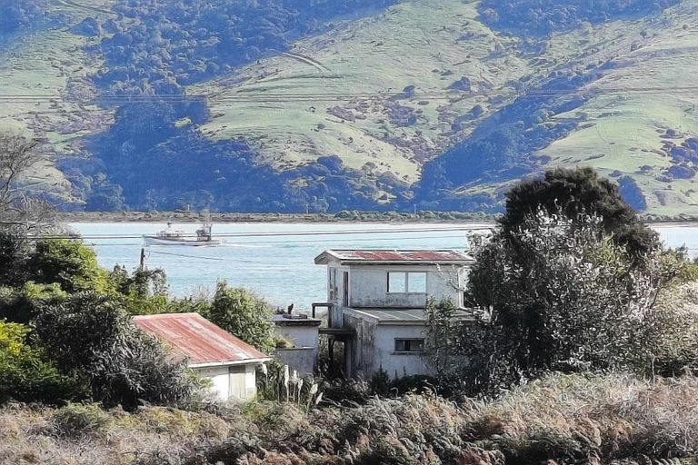 Photo of property in 903 Harington Point Road, Harington Point, Dunedin, 9077