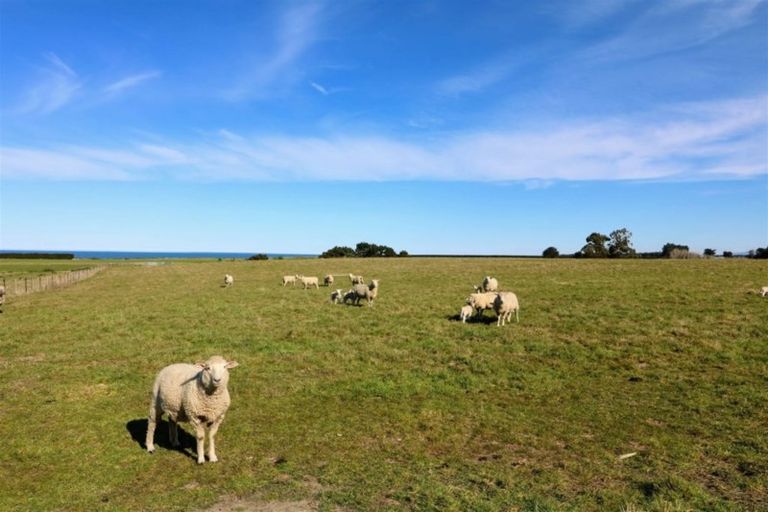 Photo of property in 167 Normanby Road, Normanby, Timaru, 7971