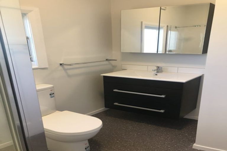 Photo of property in 17 Naughton Terrace, Kilbirnie, Wellington, 6022