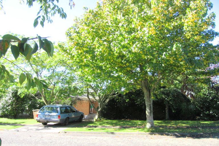 Photo of property in 75 Tasman Drive, Tokoroa, 3420