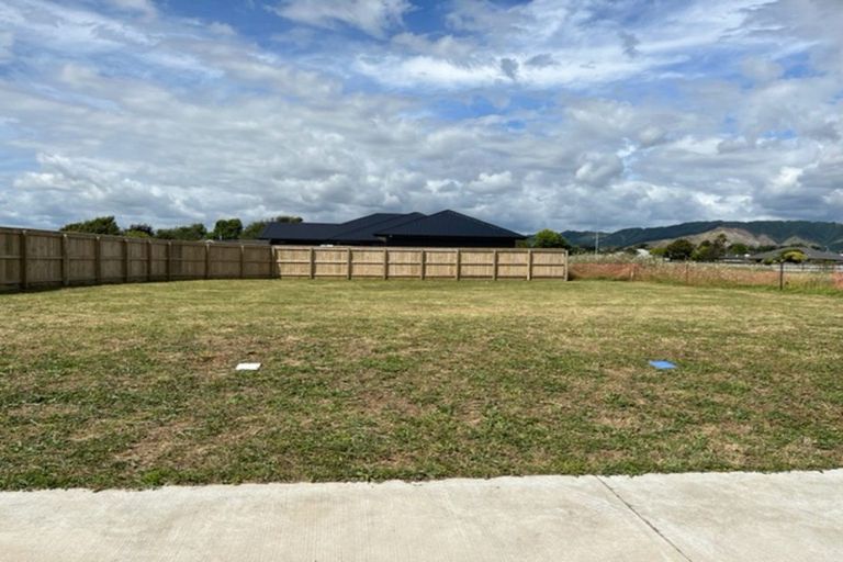 Photo of property in 44 Tainui Street, Levin, 5510