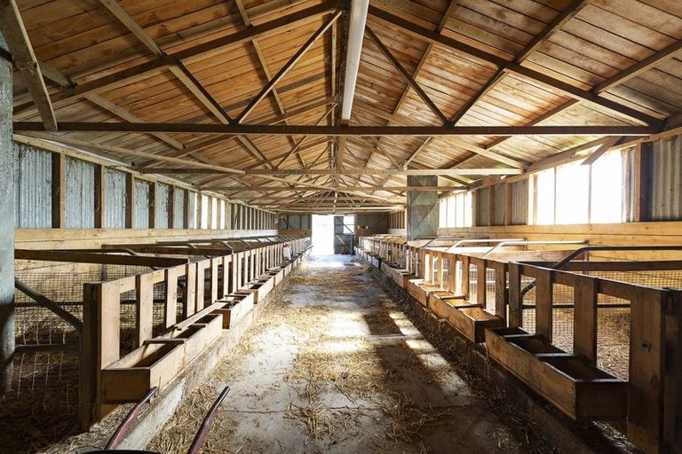 Photo of property in 320 Brookside & Irwell Road, Leeston, 7682